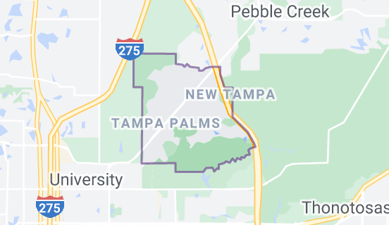 Tampa PAlms